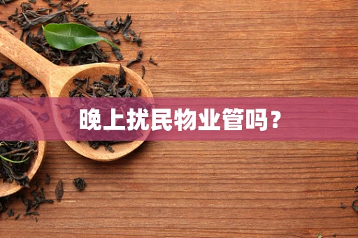 晚上扰民物业管吗？