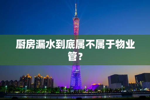 厨房漏水到底属不属于物业管？