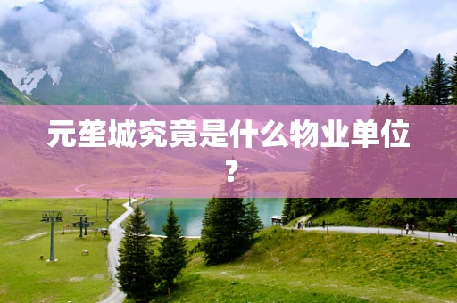 元垄城究竟是什么物业单位？