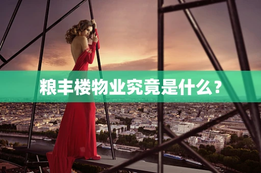 粮丰楼物业究竟是什么？