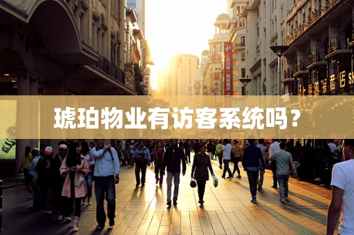 琥珀物业有访客系统吗？