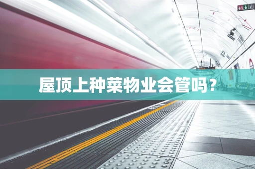 屋顶上种菜物业会管吗？