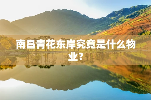南昌青花东岸究竟是什么物业？