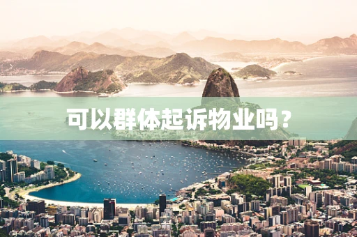 可以群体起诉物业吗？