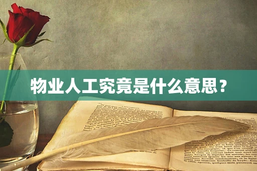 物业人工究竟是什么意思？