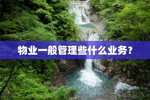 物业一般管理些什么业务？