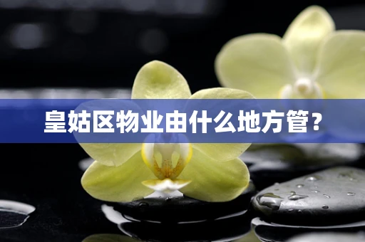 皇姑区物业由什么地方管？