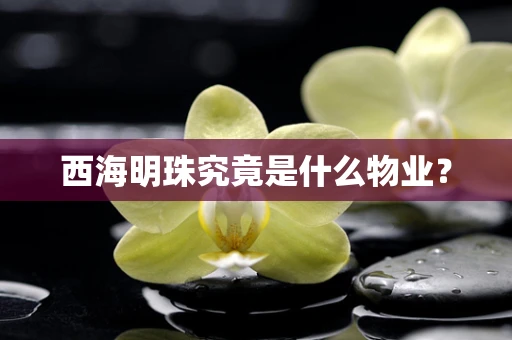 西海明珠究竟是什么物业？