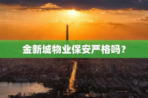 金新城物业保安严格吗？
