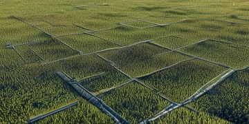 物业三横九纵究竟是什么？