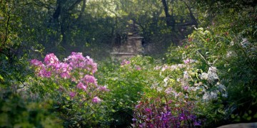 物业管理费应计入什么科目呢？