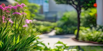 长春天华小区的物业究竟叫什么？