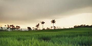 天津小区物业现在招保安吗？