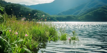 上虞浅水湾选什么物业好点？