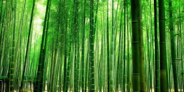 竹园里物业究竟可以做什么？